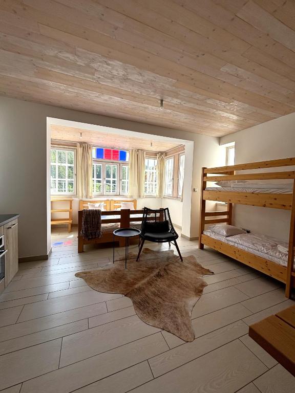 Residence Sněžka - Studio (7)