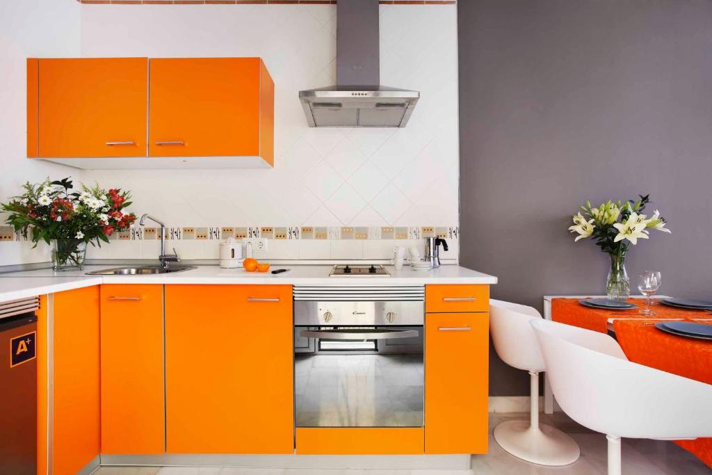Kuchyňa alebo kuchynka v ubytovaní Apartamentos Mariscal