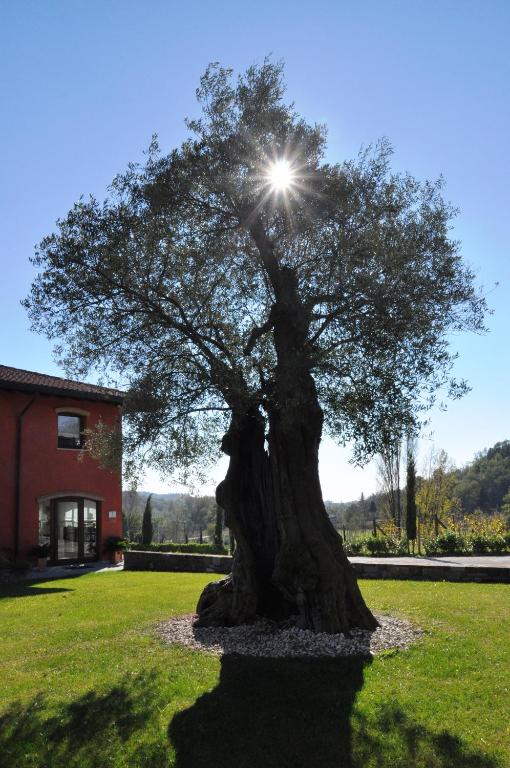 Ogród w obiekcie Il Roncal Wine Resort - for Wine Lovers