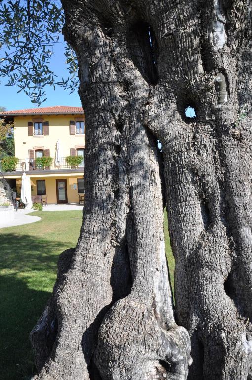 Zdjęcie z galerii obiektu Il Roncal Wine Resort - for Wine Lovers w mieście Cividale del Friuli