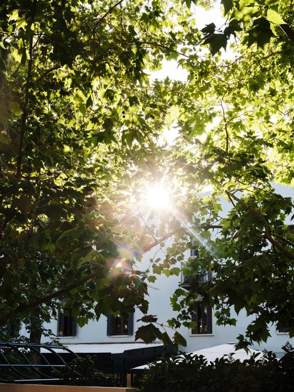 The Twentyone - Resim 6