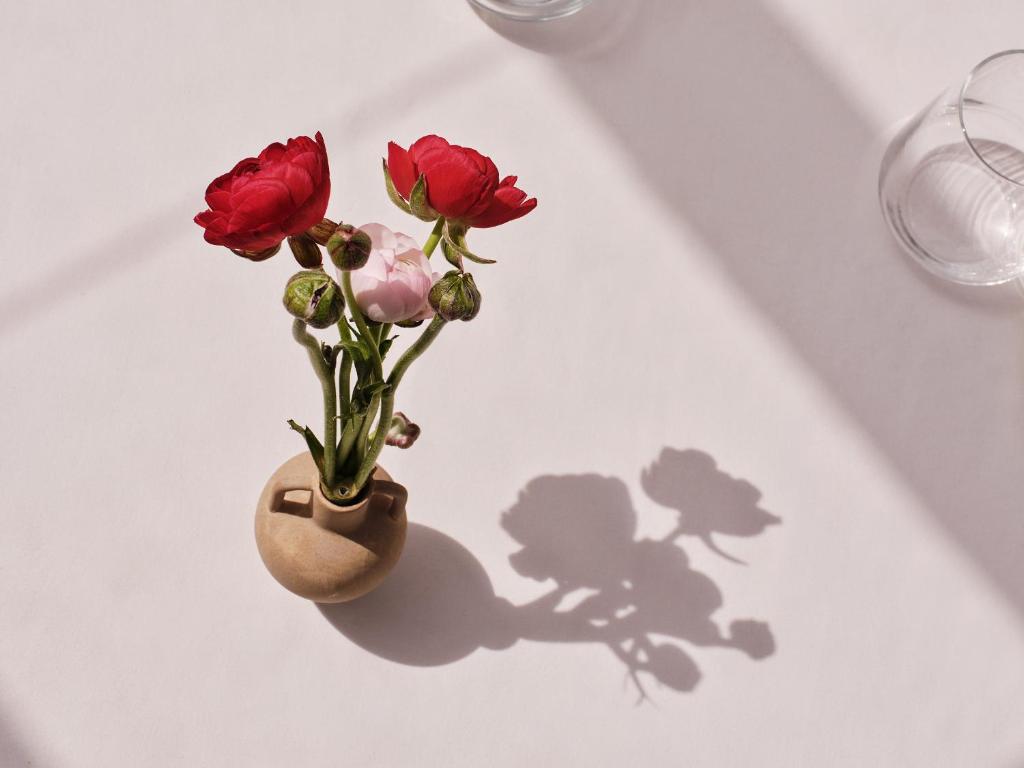 The Twentyone - Resim 16