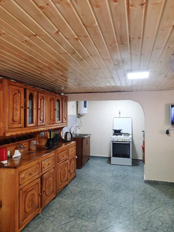 Kuchyň nebo kuchyňský kout v ubytování Guesthouse "MEGI"