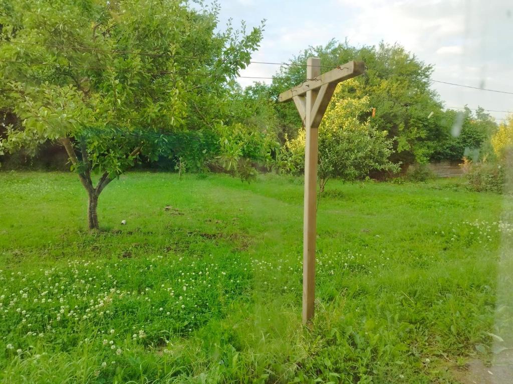 Příroda nedaleko ubytování v soukromí