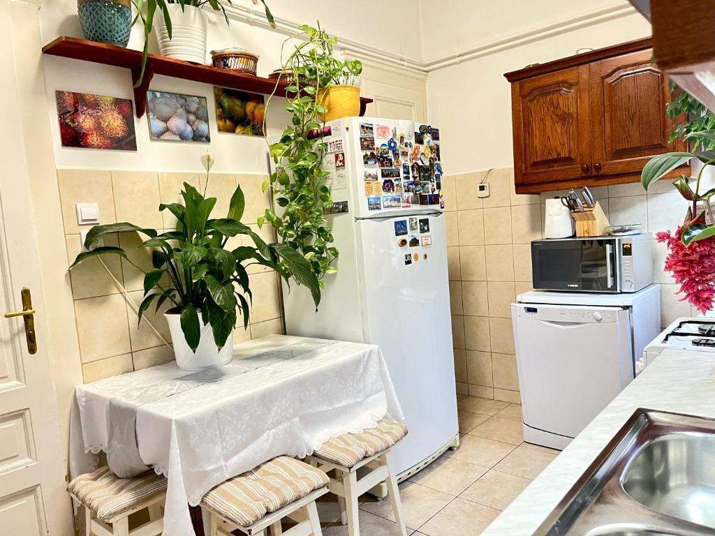 Margaret Bridge cozy flat 1027 Budapest, Margit Körút 1 kép - 1