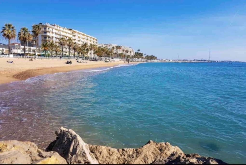 - une vue sur une plage bordée de palmiers et de bâtiments dans l'établissement Appartement à Cannes climatisé de 70 m2 à 300 m de la plage, à Cannes