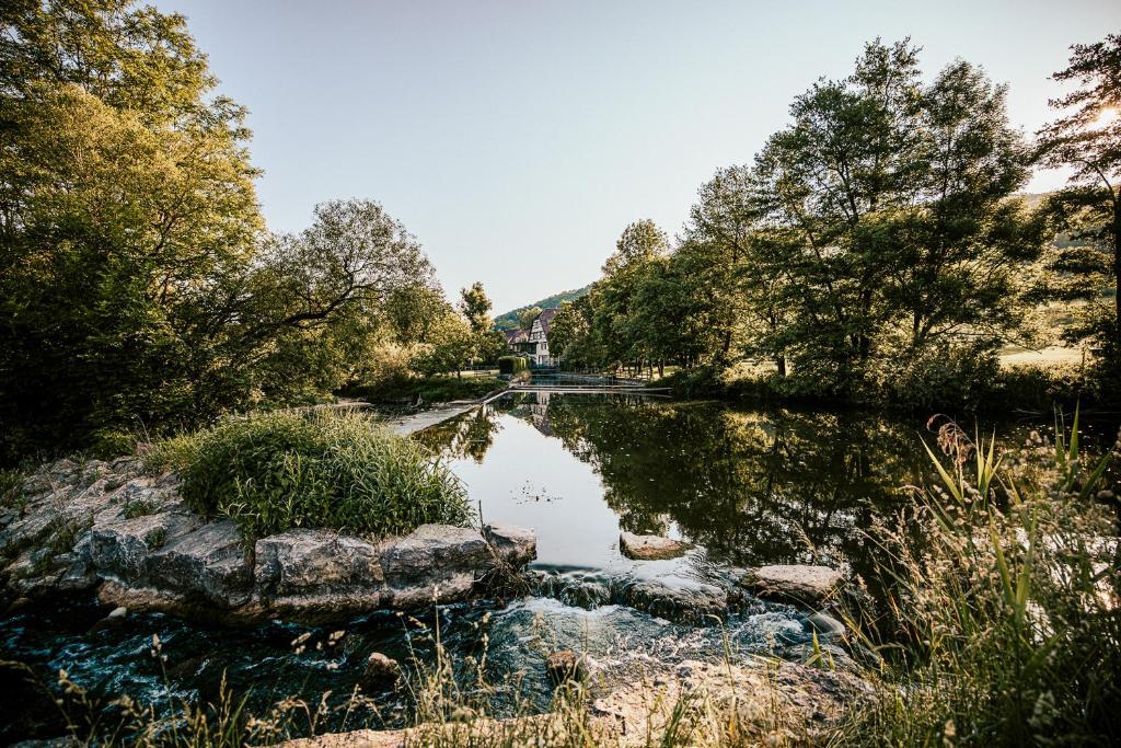 Příroda nedaleko hotelu