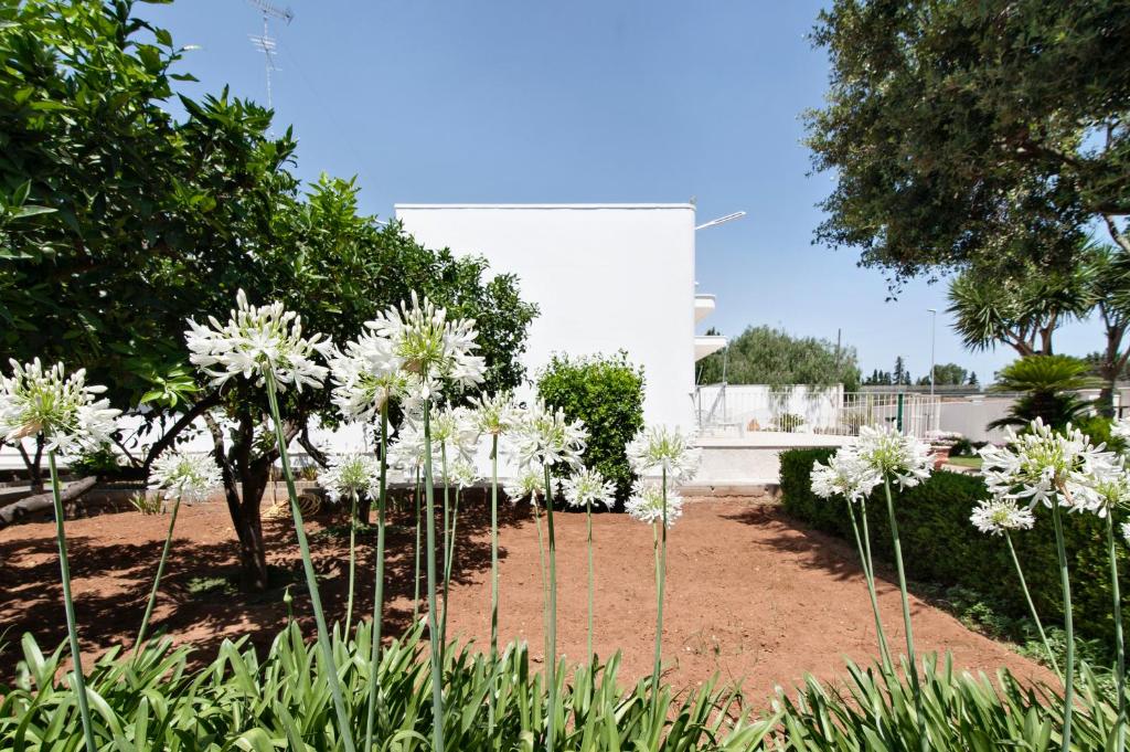 Zahrada ubytování Villa Maroby Rooms & Parking - Lecce Selection