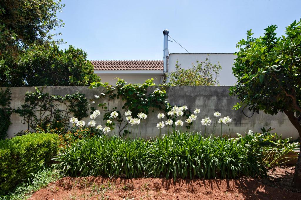 Zahrada ubytování Villa Maroby Rooms & Parking - Lecce Selection