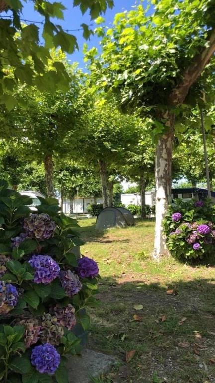 Ogród w obiekcie CAMPING RIANXO