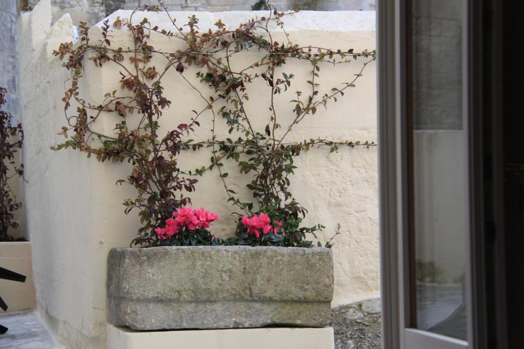 Alla dimora di Chiara Suite and Rooms - 9