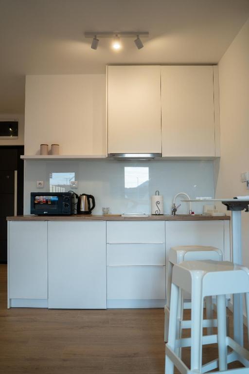Köök või kööginurk majutusasutuses Apartmani Laketić