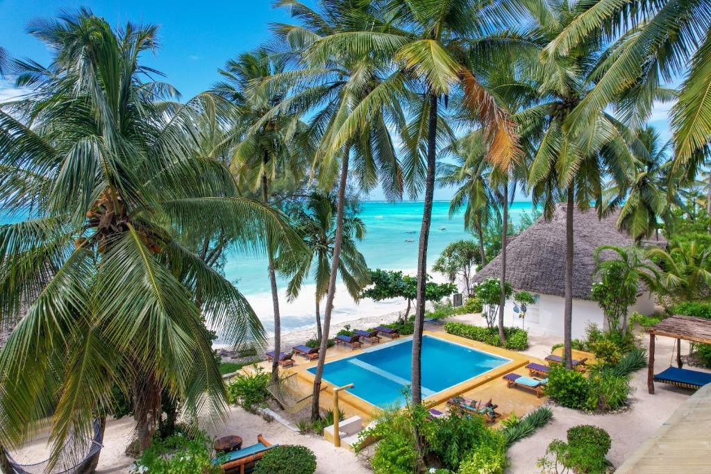 an aerial view of a resort with a swimming pool and palm trees at Mnana Beach Bungalows in Michamvi