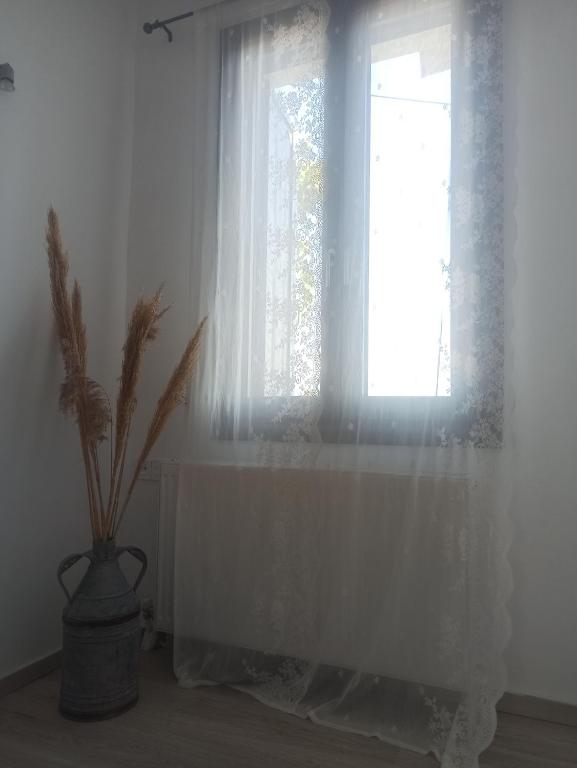 Φωτογραφία από το άλμπουμ του Io the cosy home Plomari στο Πλωμάρι