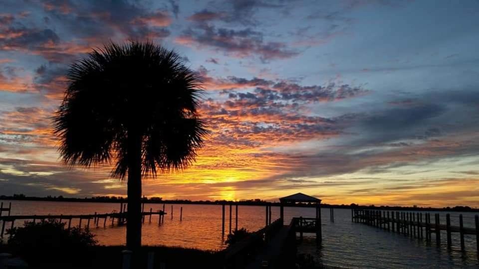 una palmera frente a una puesta de sol en Paradise Cove on Lemon Bay, en Englewood