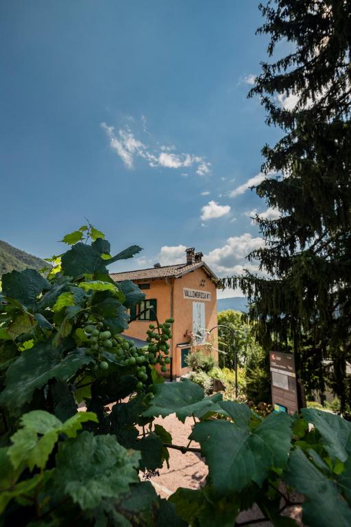 Příroda nedaleko bed and breakfast
