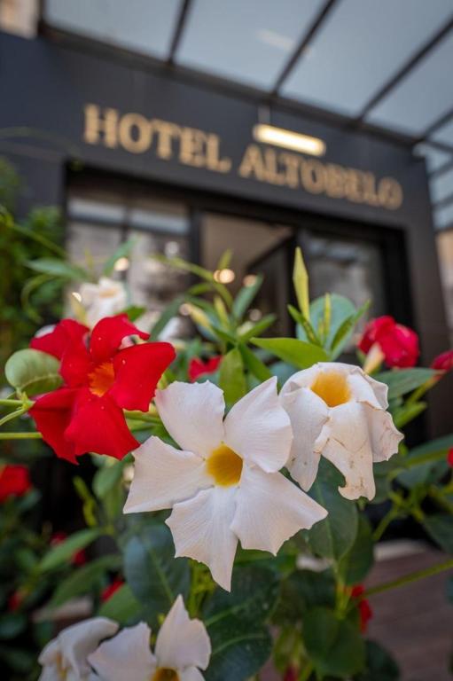 Fotografie z fotogalerie ubytování Altobelo Hotel v destinaci Vlorë