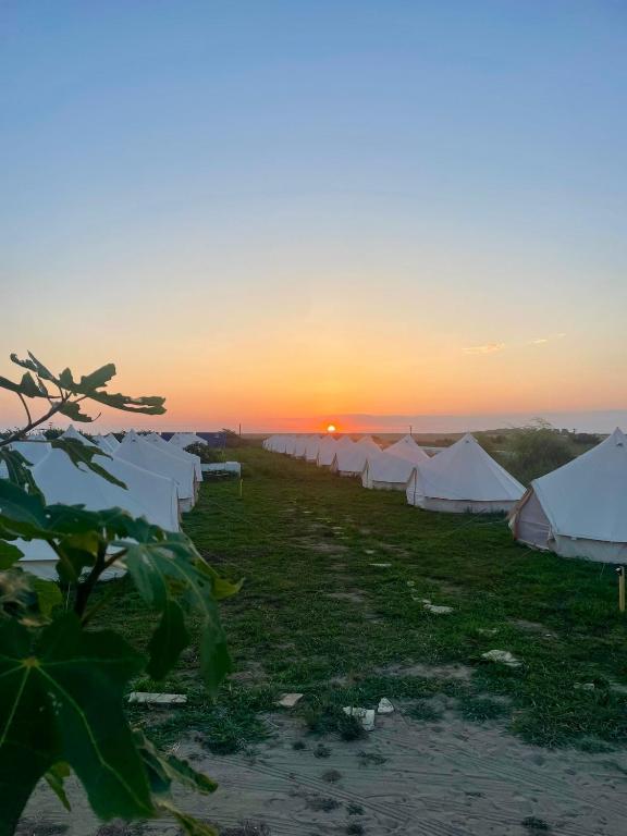 Příroda nedaleko luxury tent