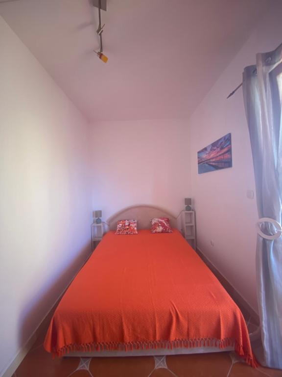 Nebos1(イガロ):(最新料金:2024年)