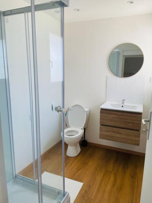 une salle de bain avec toilettes et lavabo dans l'établissement Studio Charles de Gaulle II, à Castres