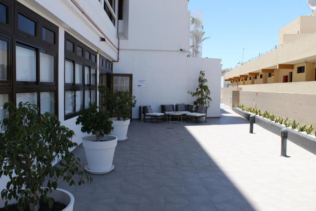 Fotografie z fotogalerie ubytování Apartamentos Fayna v destinaci Playa del Ingles