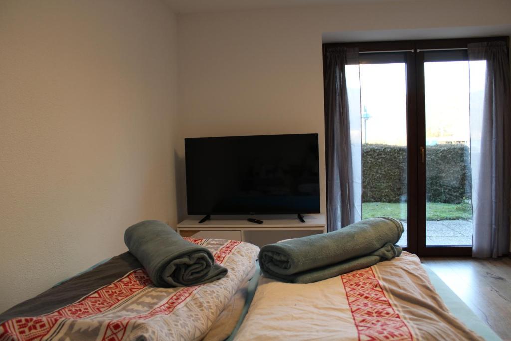 TV a/nebo společenská místnost v ubytování Appartement Demelfischer am See