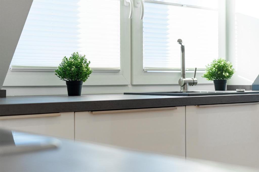 Kuchyň nebo kuchyňský kout v ubytování Apartment am Deich 04