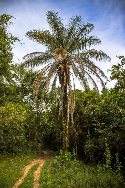  Pousada Água Azul