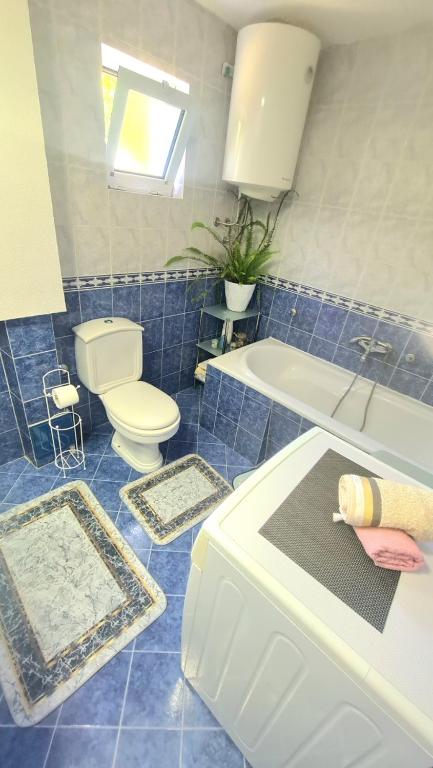 Koupelna v ubytování Apartman Stefan