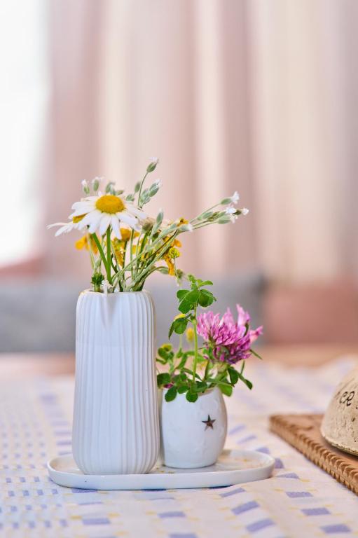 Fotografie z fotogalerie ubytování Meine Zeit Ferienwohnung v destinaci Elsbethen