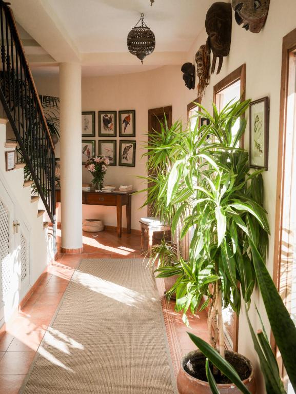 Las Palmeras del Califa - 9