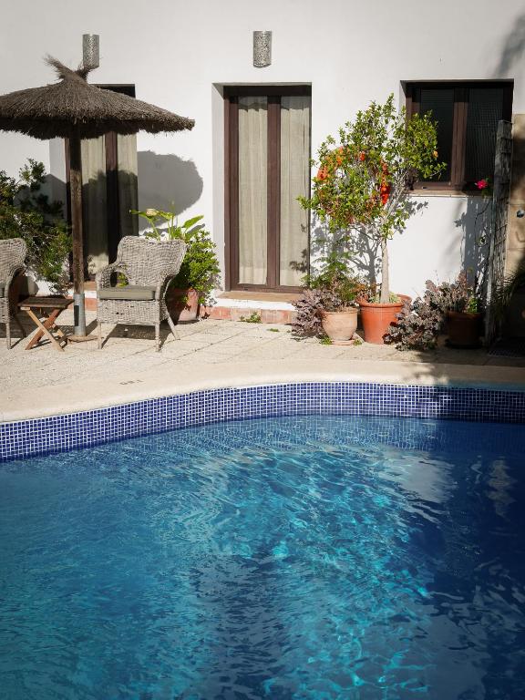 Las Palmeras del Califa - 10