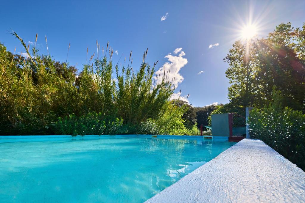 Bazén v ubytování B&B Mas Torrencito Pet Friendly nebo v jeho okolí
