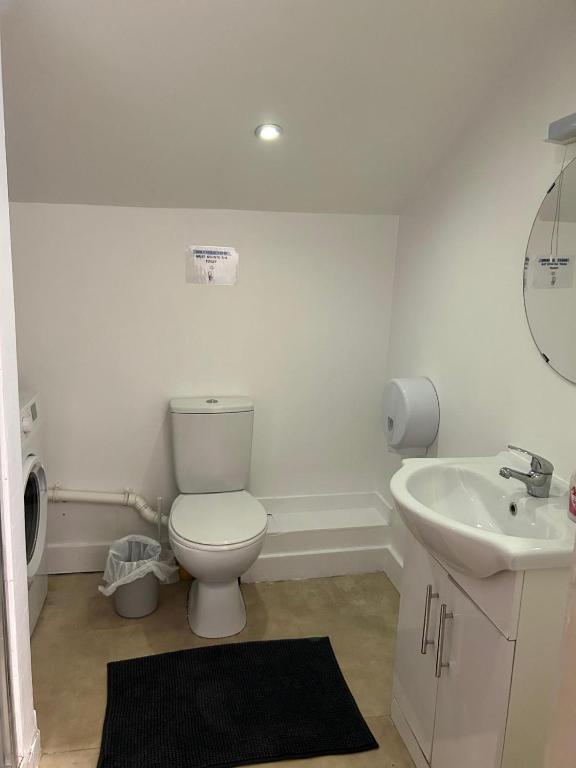 a bathroom with a white toilet and a sink at Sarsfields Communities in Dolphinʼs Barn