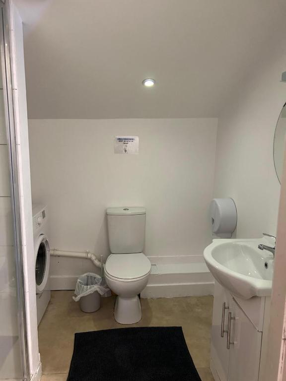 a bathroom with a toilet and a sink at Sarsfields Communities in Dolphinʼs Barn