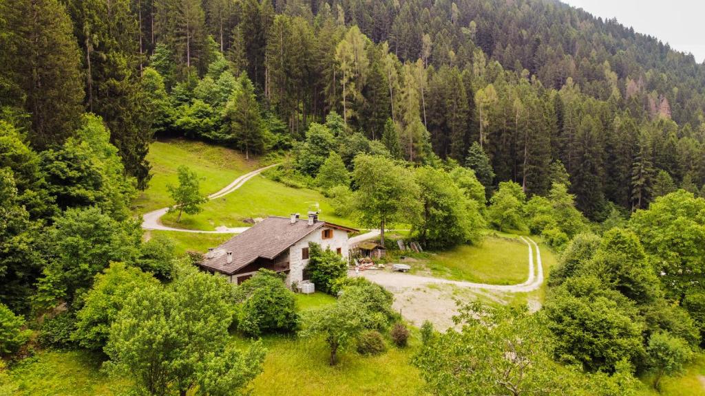 Příroda nedaleko chaty