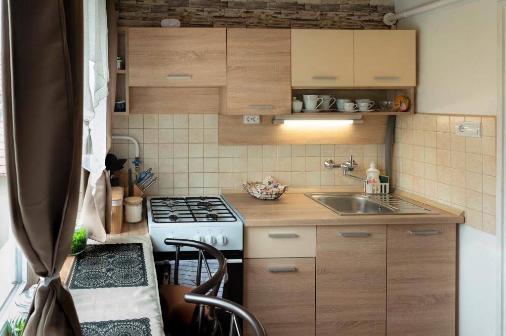 Kuchyň nebo kuchyňský kout v ubytování Dózsa Apartman