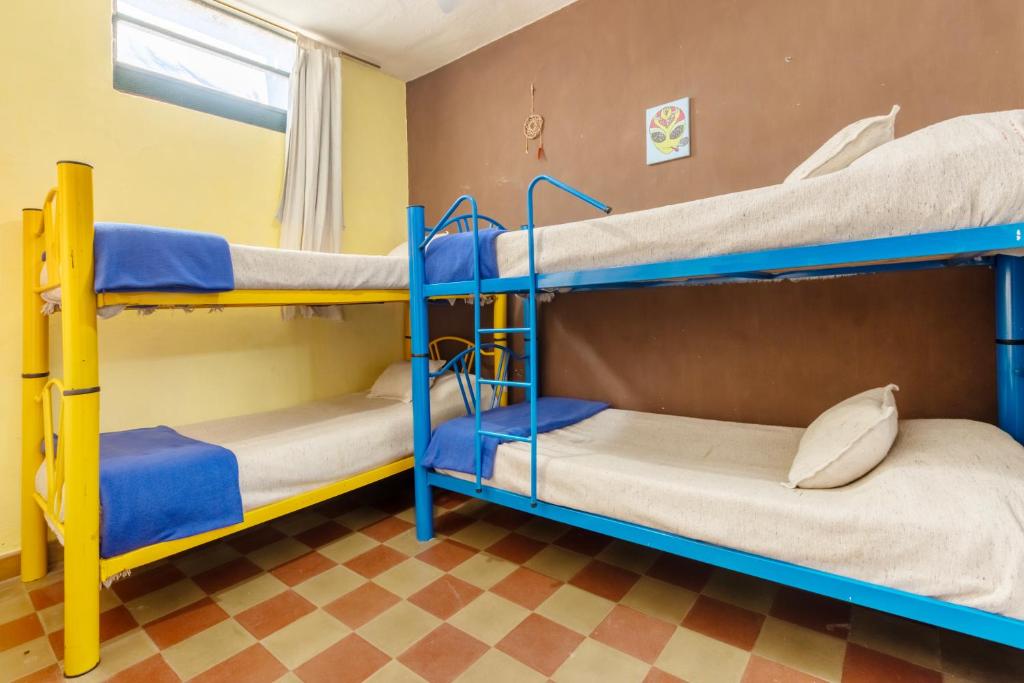 Palanda nebo palandy na pokoji v ubytování Puerta Azul Hostel