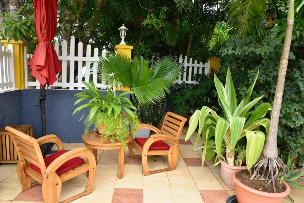 a patio with a table and chairs and plants at Bungalow charmant à Le Gosier avec jardin clos et parking in Le Gosier