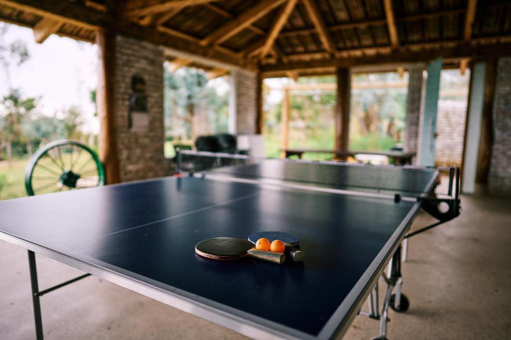 Instalaciones para jugar al tenis de mesa en Eucaliptus Spa Resort o alrededores