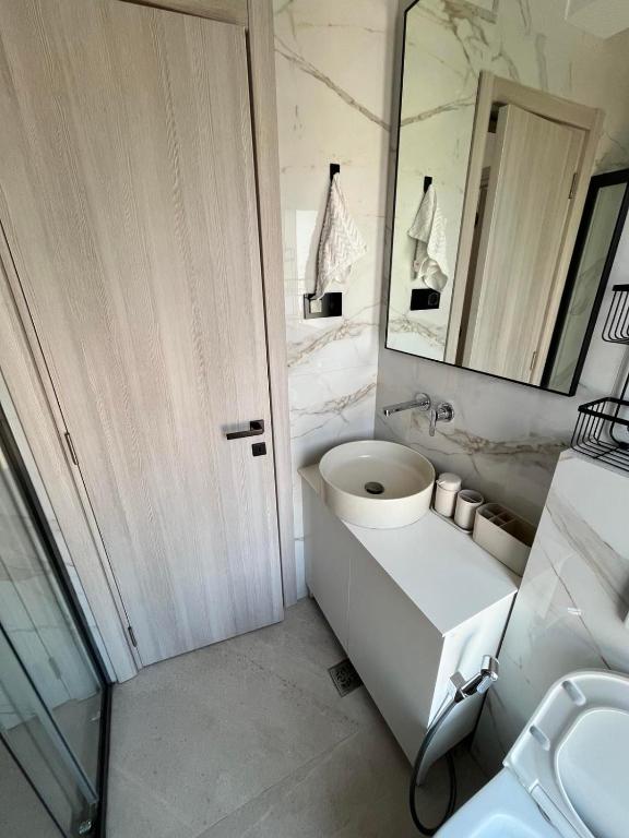 a bathroom with a sink and a toilet and a mirror at Penthouse Panorama in Tivat