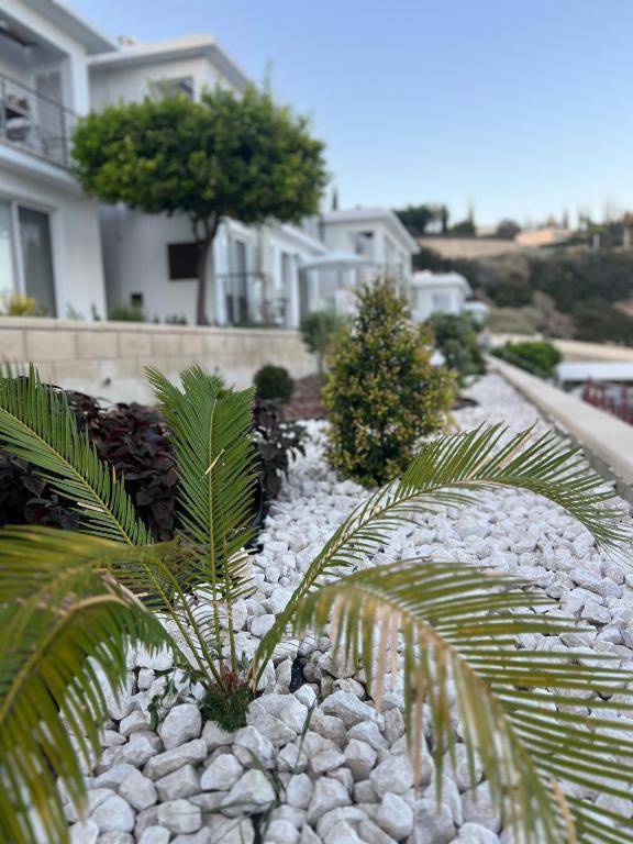 Zahrada ubytování Pissouri Image