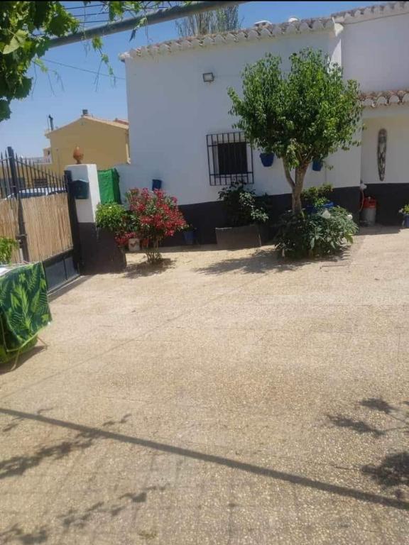 Fotografie z fotogalerie ubytování la cueva de guadix v destinaci Guadix