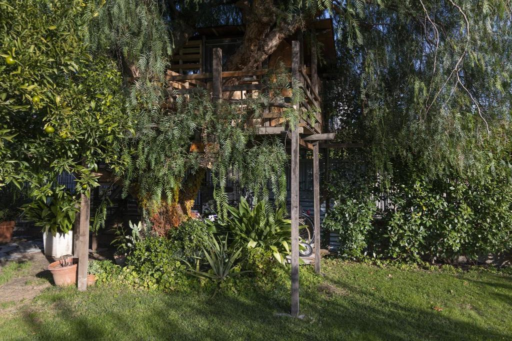 Vonkajšia záhrada v ubytovaní La Casetta Sull'Albero 900m from the sea - Happy Rentals