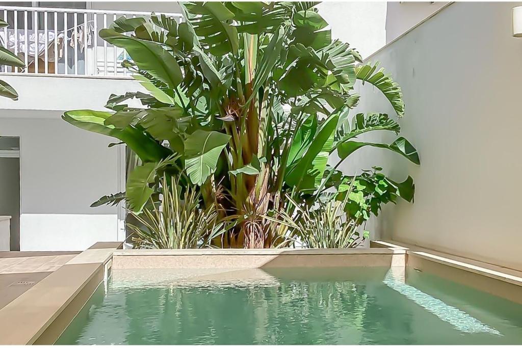 a pool of water with plants in a house at Modern Beautiful Pool And Sea Apt Qawra - Happy Rentals in Qawra