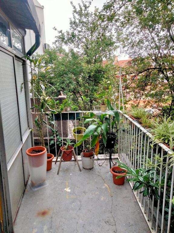 Imagen de la galería de Dans L'Atelier Hostel Unidade Porta Nova, en Braga