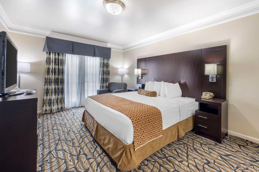 Best Western Spring Hill Inn & Suites - King Suite With Kitchenette - Non-Smoking