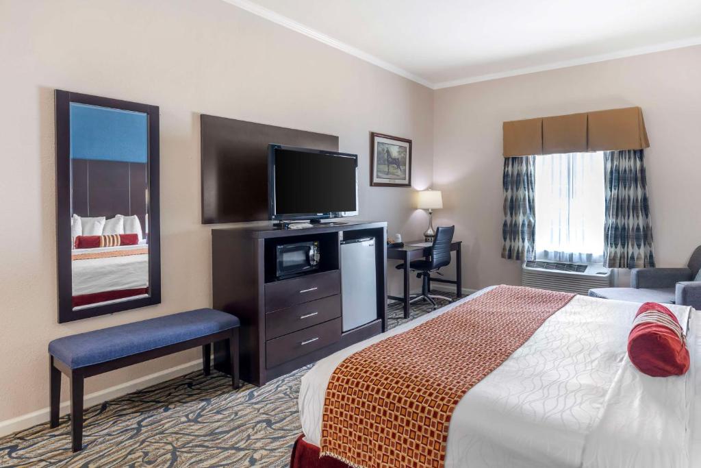 Best Western Spring Hill Inn & Suites - King Room - Non-Smoking