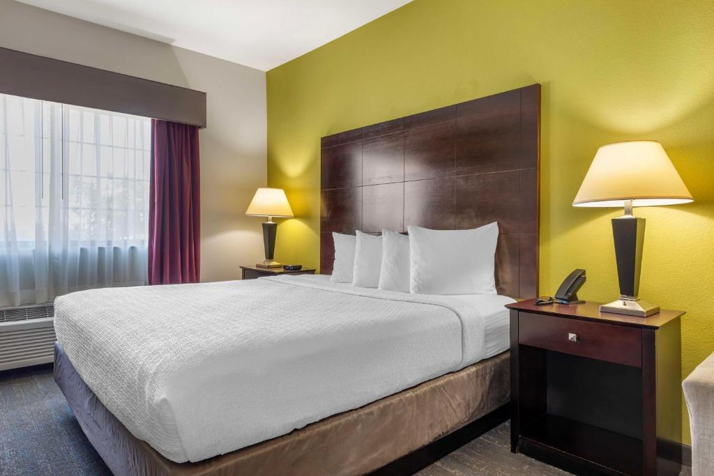 Best Western Plus Mansfield Inn & Suites - King Studio With Sofa Bed