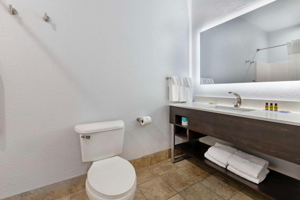 Koupelna v ubytování Best Western Plus Appleton Airport Mall Hotel